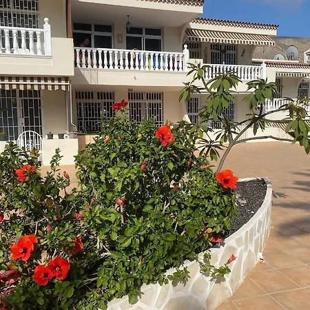 Oasis De Tranquilidad Y Estilo En Cristianos De Membrillo Los Cristianos (Tenerife)